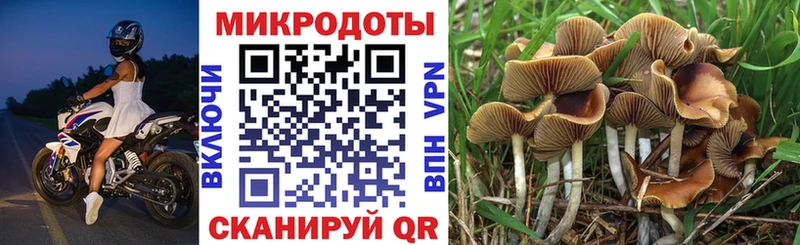 Псилоцибиновые грибы мухоморы  Купить  Старый Оскол 